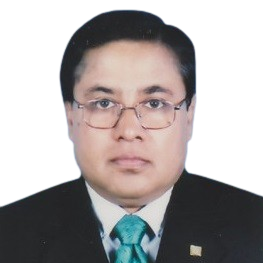 Professor Dr. A. B. M. Hamidul Haque
